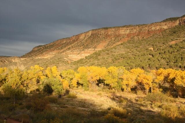 Kolob Gate Gardens