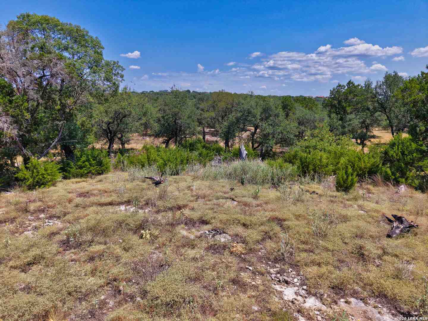 559 Clay Rdg, Canyon Lake, TX 78133 — photo 1
