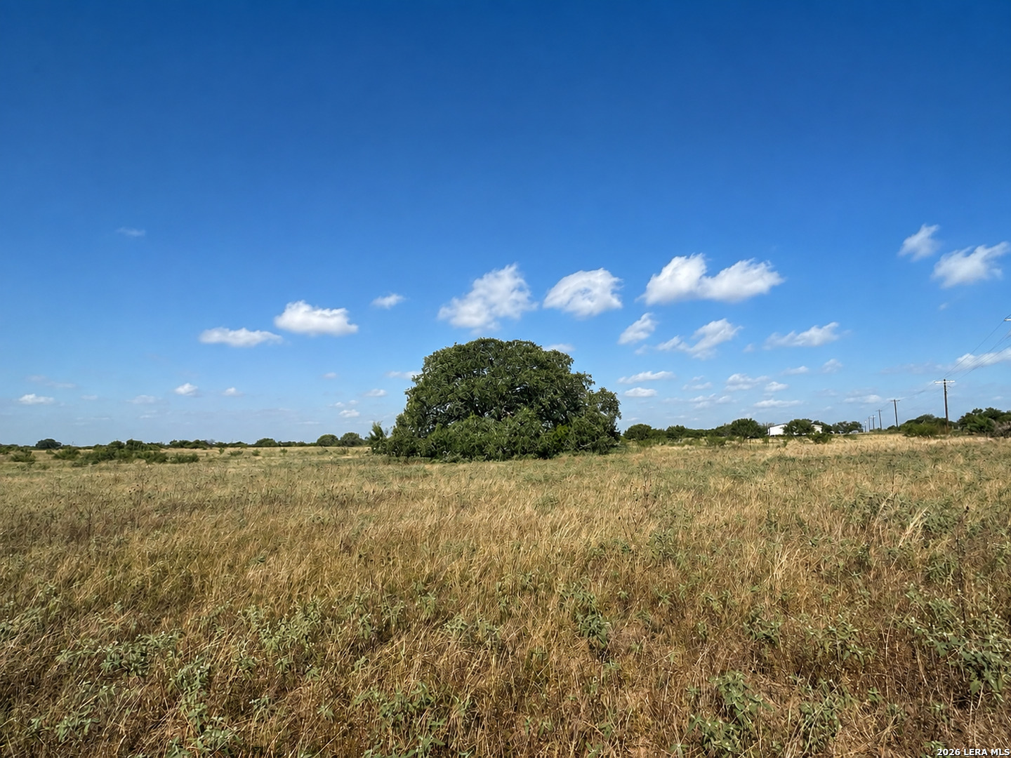 FM 1333, Poteet, TX 78065 — photo 1