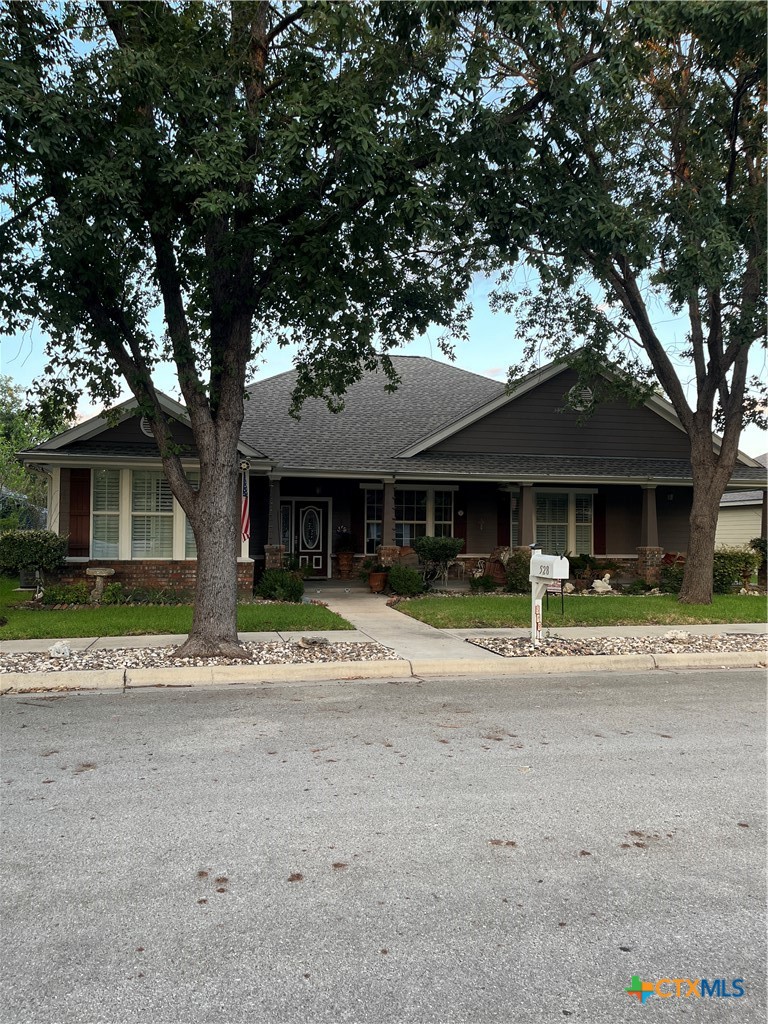 528 Jo Lynn Lane, New Braunfels, TX 78130 — photo 1