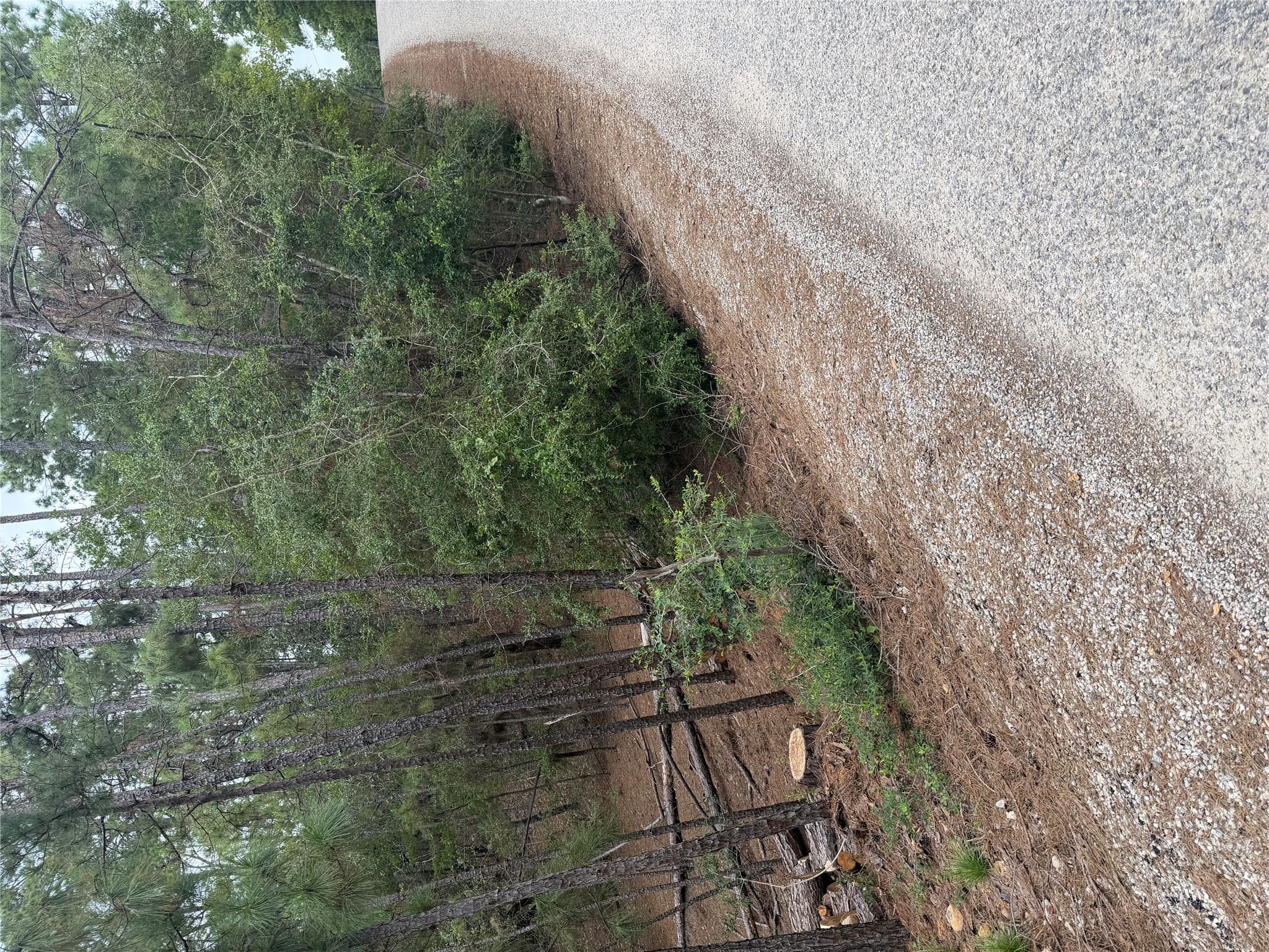 Lots 213 and 214  Hekili Dr, Bastrop, TX 78602 — photo 1