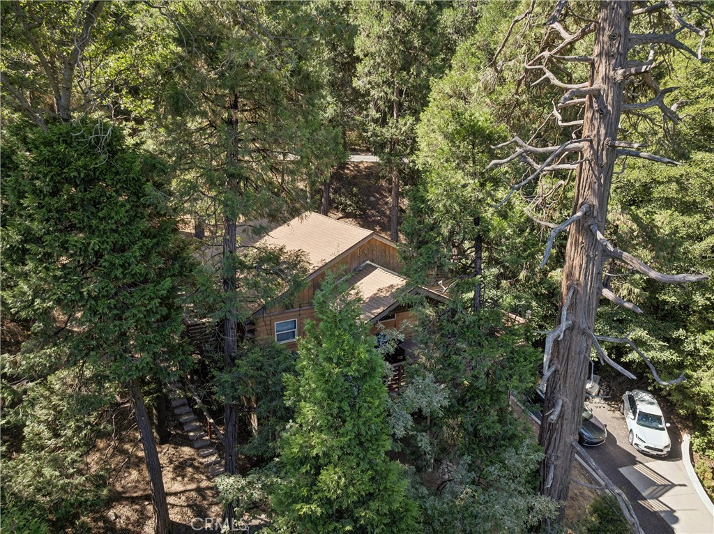 24839 Felsen Drive, Crestline, CA 92325 — photo 1