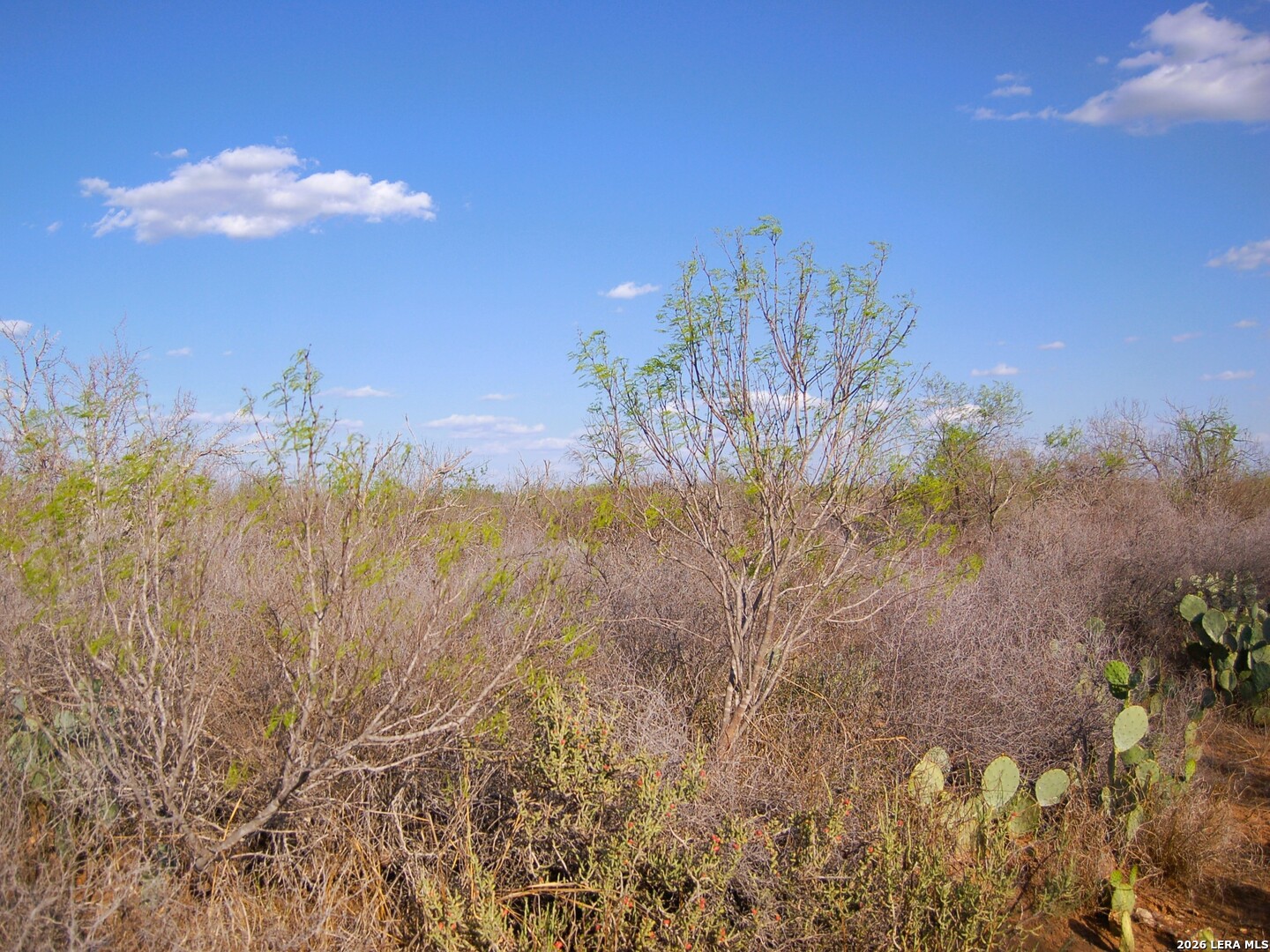 TBD FM 186, ,  78834 — photo 1