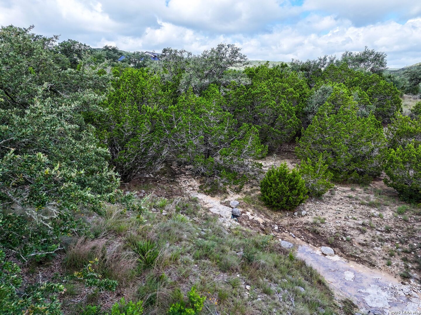 24103 TRES ARROYOS, ,  78255 — photo 1