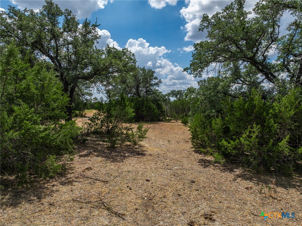 TBD County Road 4125, Iredell, TX 76649 — photo 1