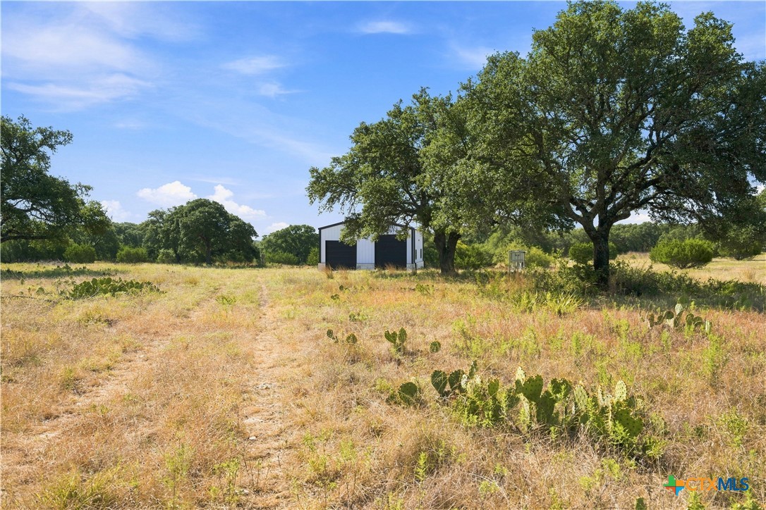 703 Blackbuck Ridge
