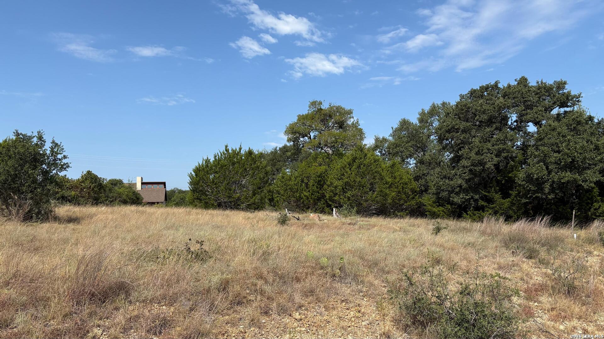 106 Lewis Todd, ,  78606 — photo 1