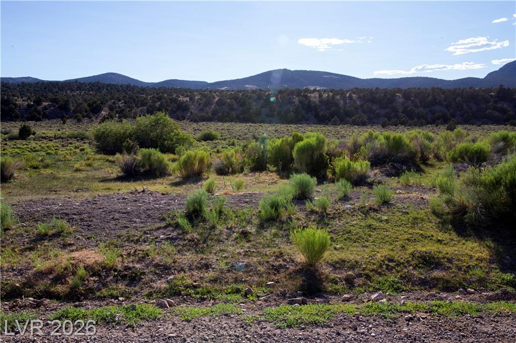 Duck Creek Development Road