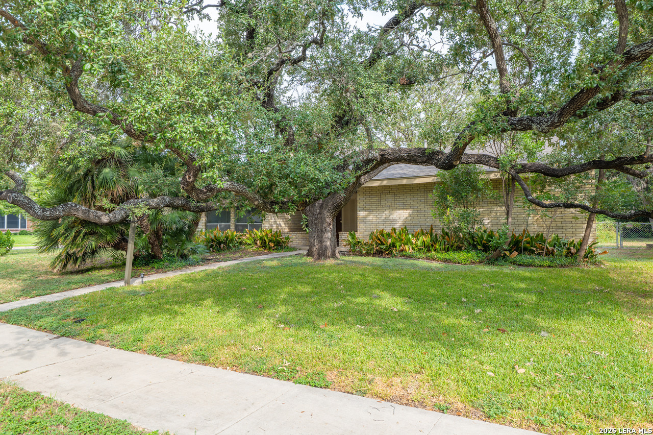 3103 MINDORO DR, San Antonio, TX 78217 — photo 1