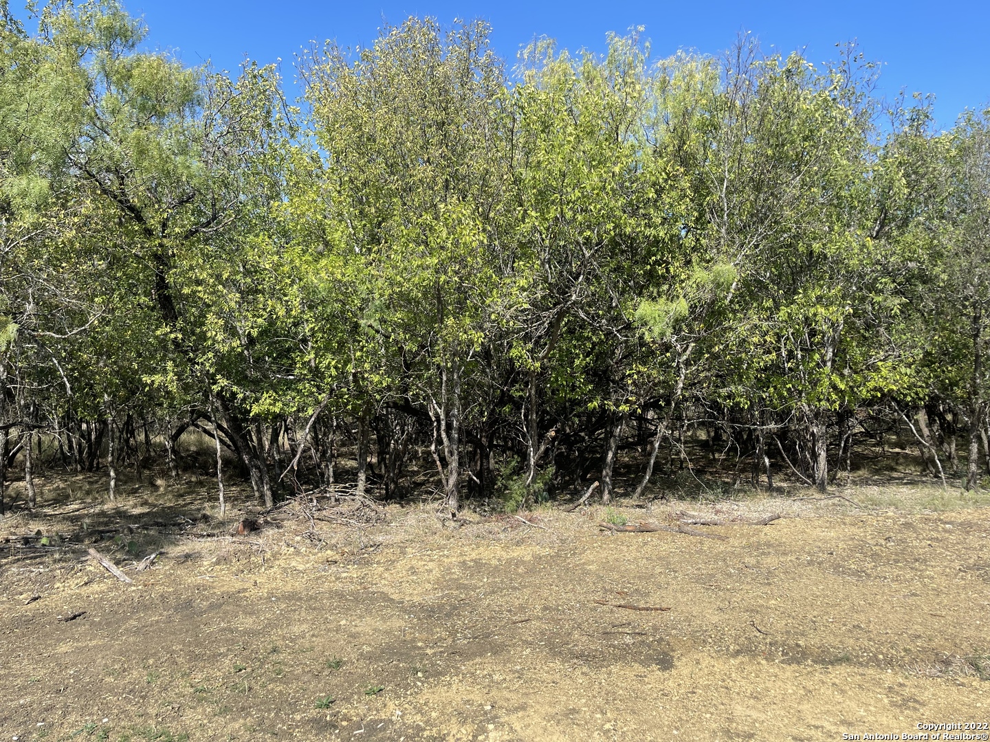 MELBA DR, San Antonio, TX 78240 — photo 1