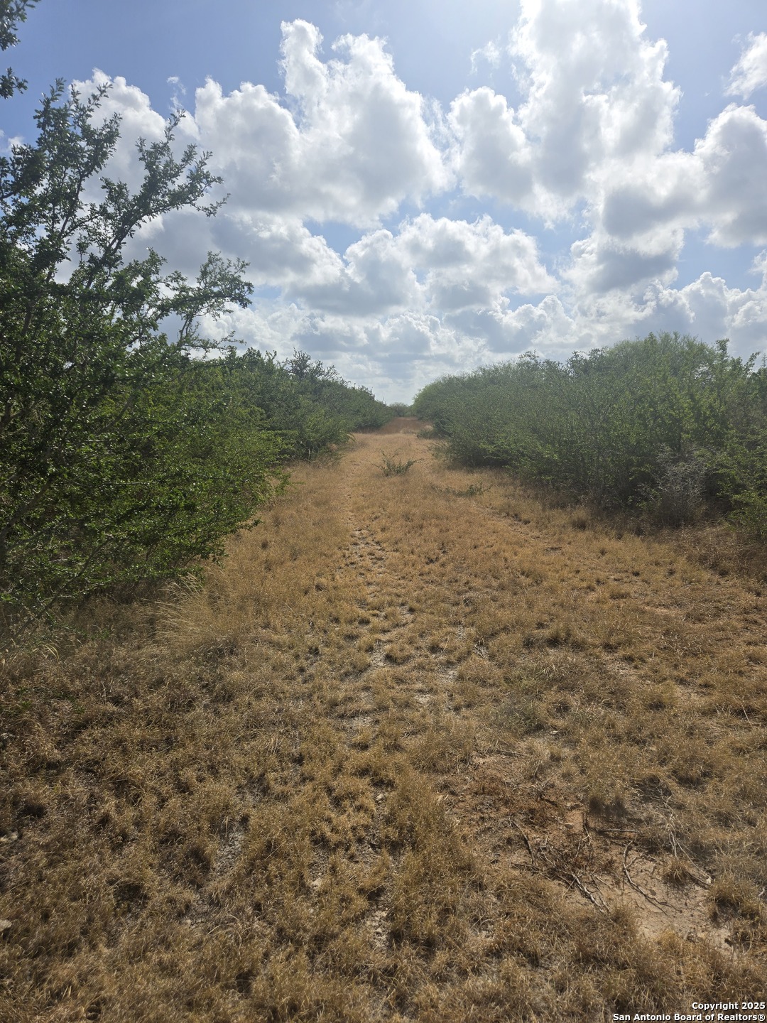 000 CR 170, , 78332 — photo 1