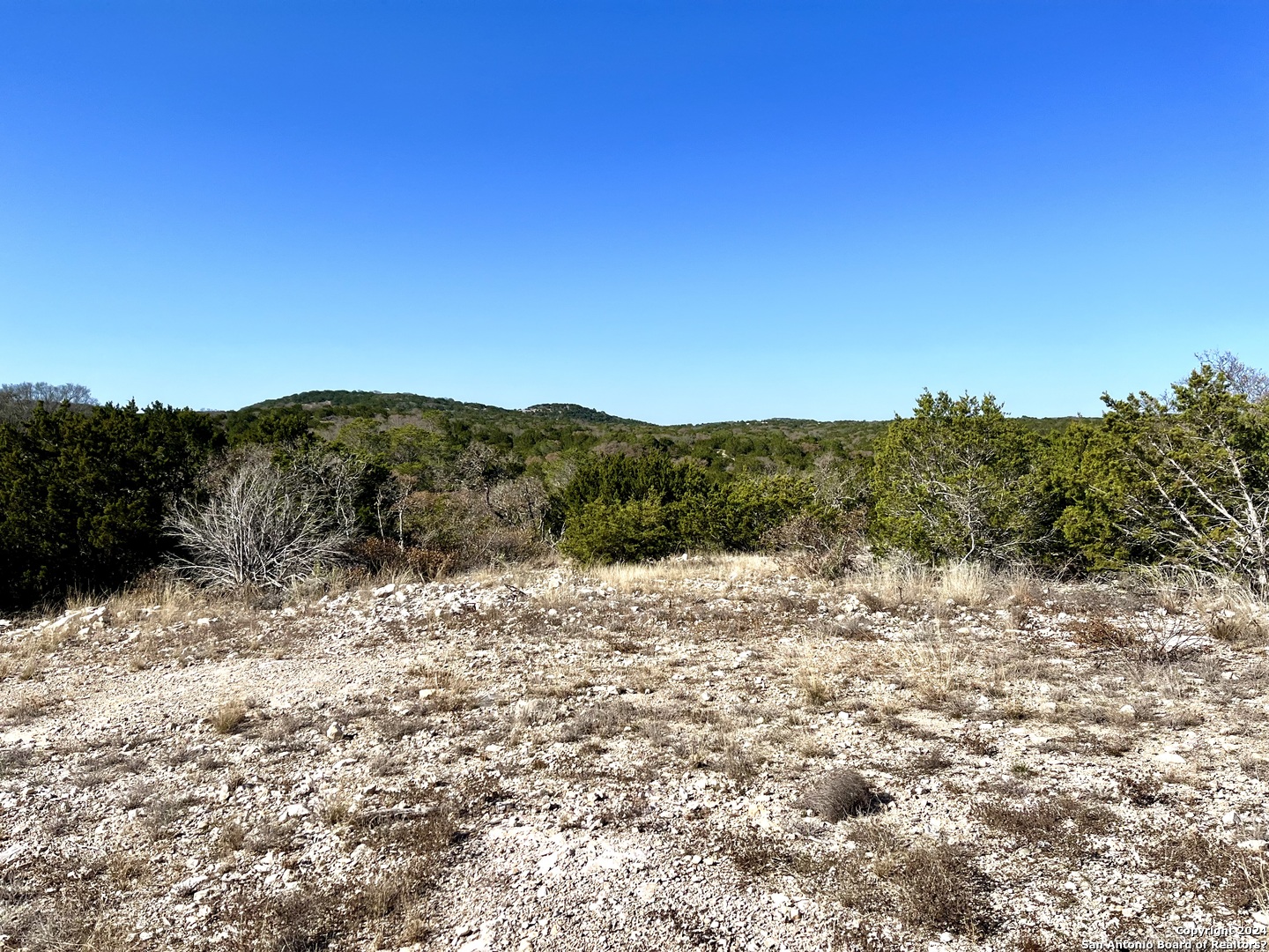 0 SD63538, ,  78880 — photo 1