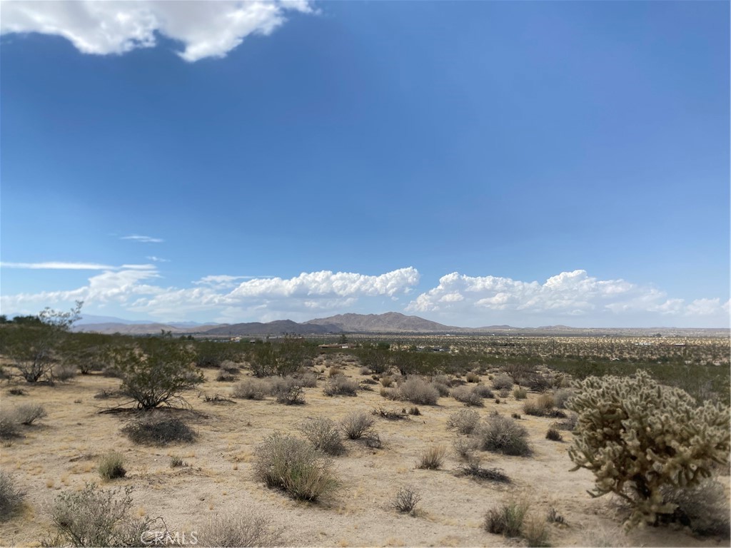 123 California Avenue, Joshua Tree, CA 92252 — photo 1