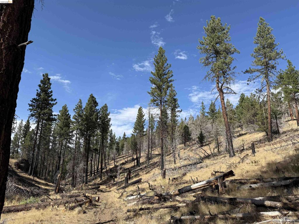 00000 Butte Creek Rd