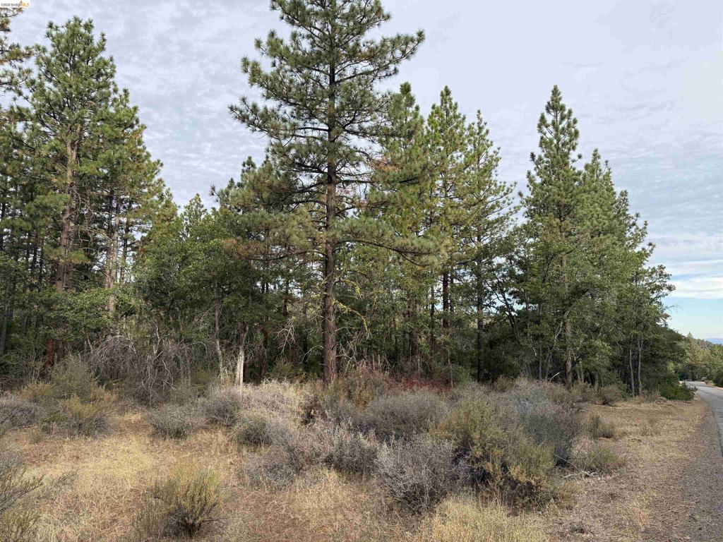 00000 Little Vallley, Mcarthur, CA 96056 — photo 1