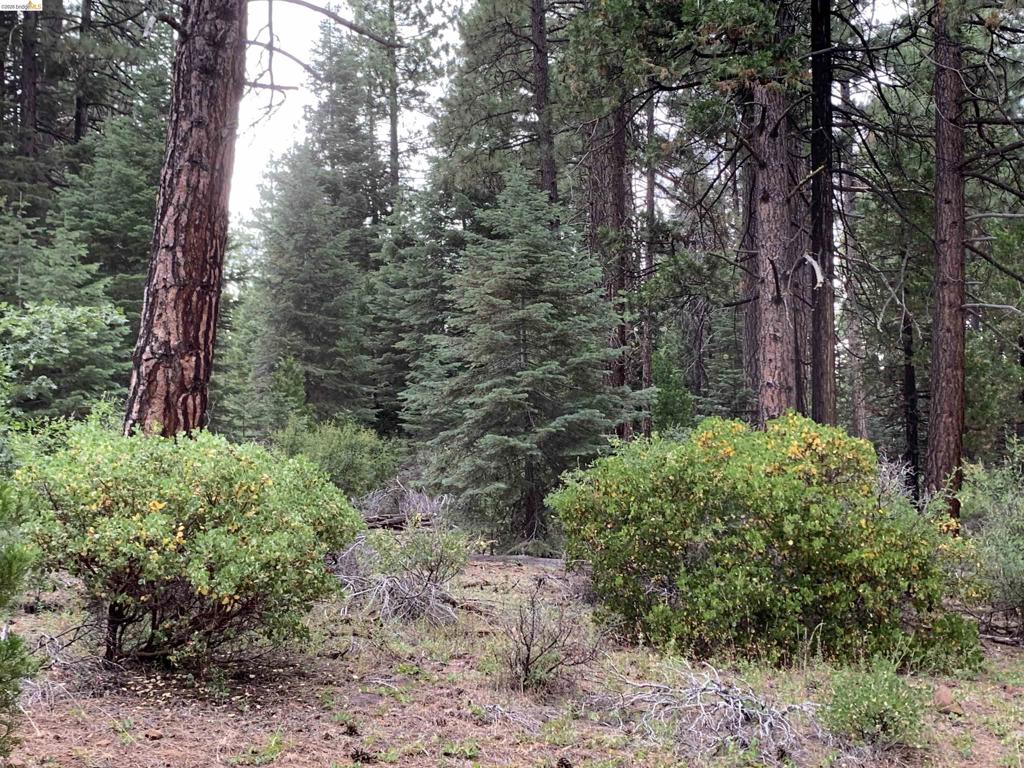 00000 Old Toll Rd, , CA 96068 — photo 1