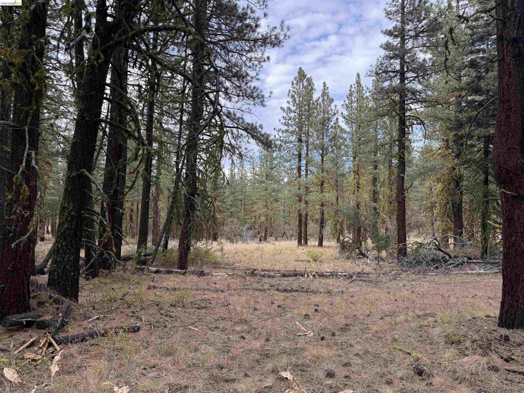 00000 West Wing, Susanville, CA 96127 — photo 1