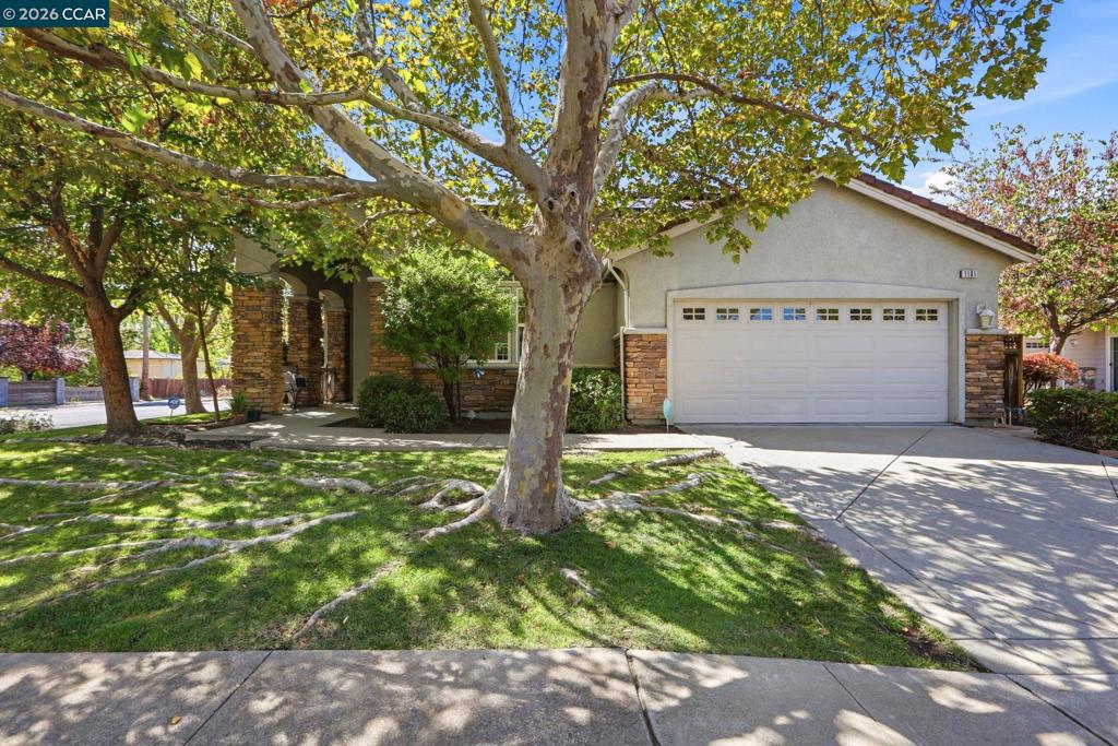 1101 Sunny Cove St, Walnut Creek, CA 94597 — photo 1