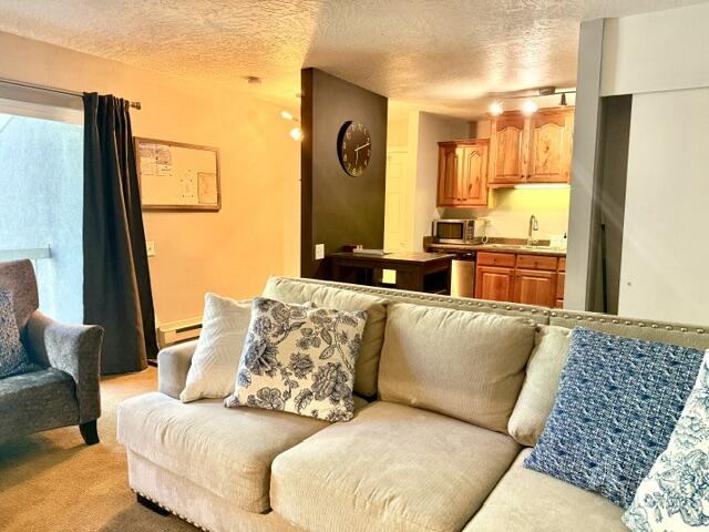 356 S Utah 143, C4, Brian Head, UT 84719