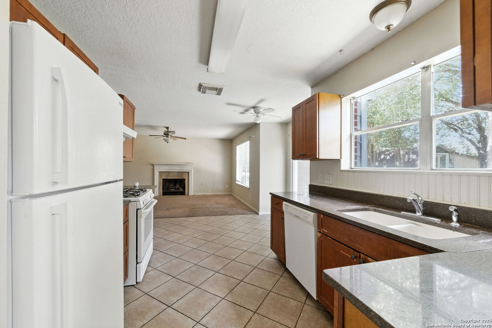 10315 MUSTANG RIDGE RD, , 78109 — photo 1