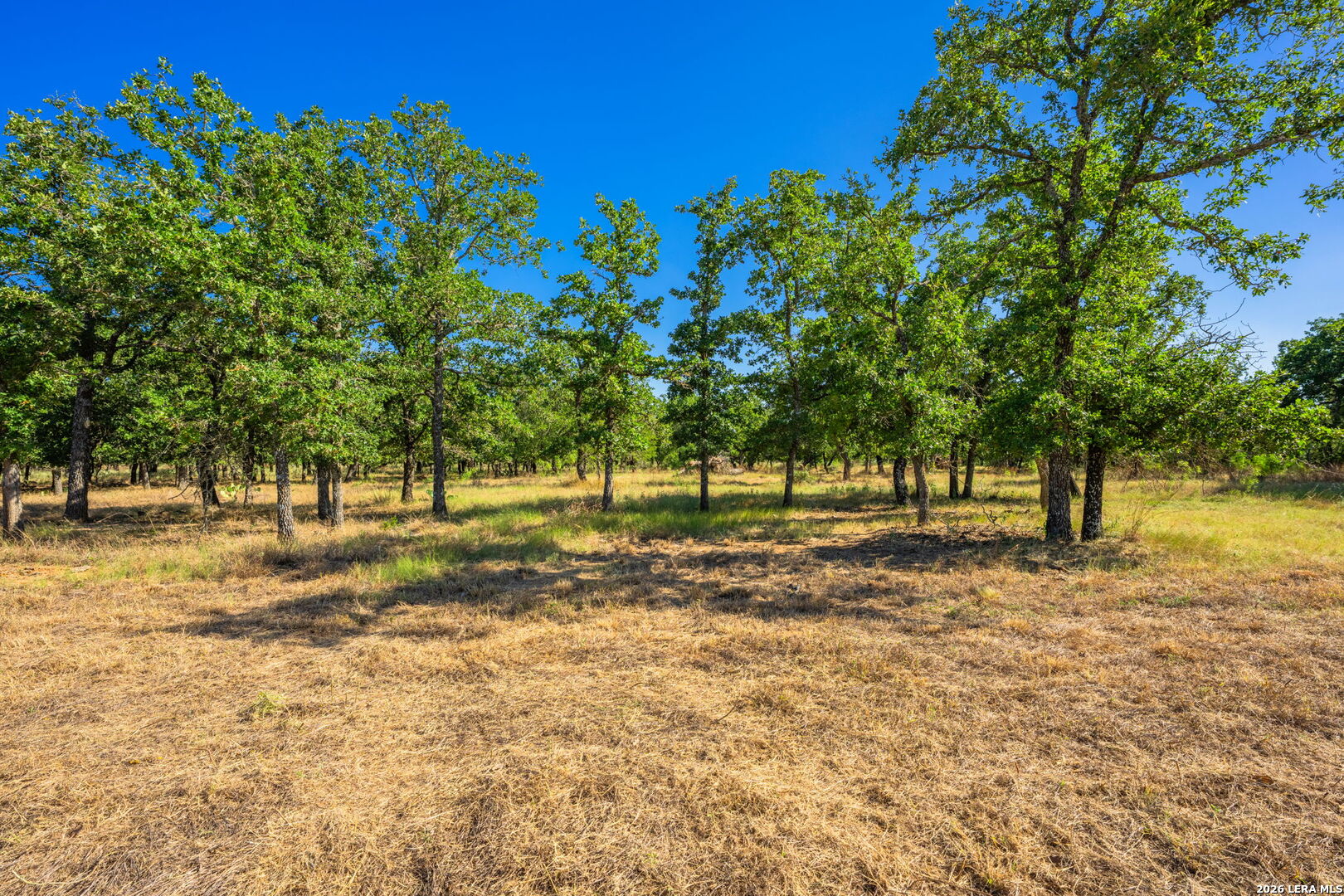 560 Mystic Oaks Trail, Fredericksburg, TX 78624 — photo 1