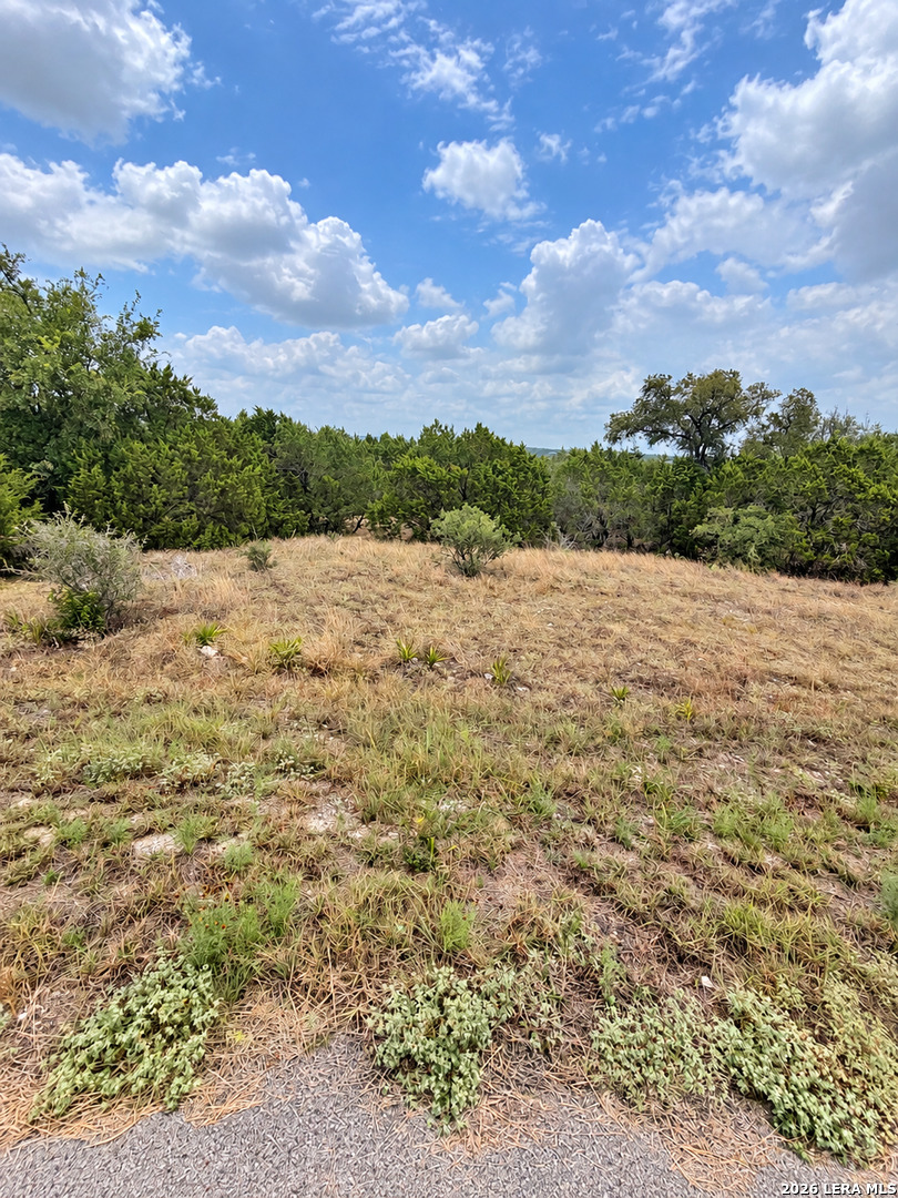 217 BINDWEED LN, Spring Branch, TX 78070 — photo 1