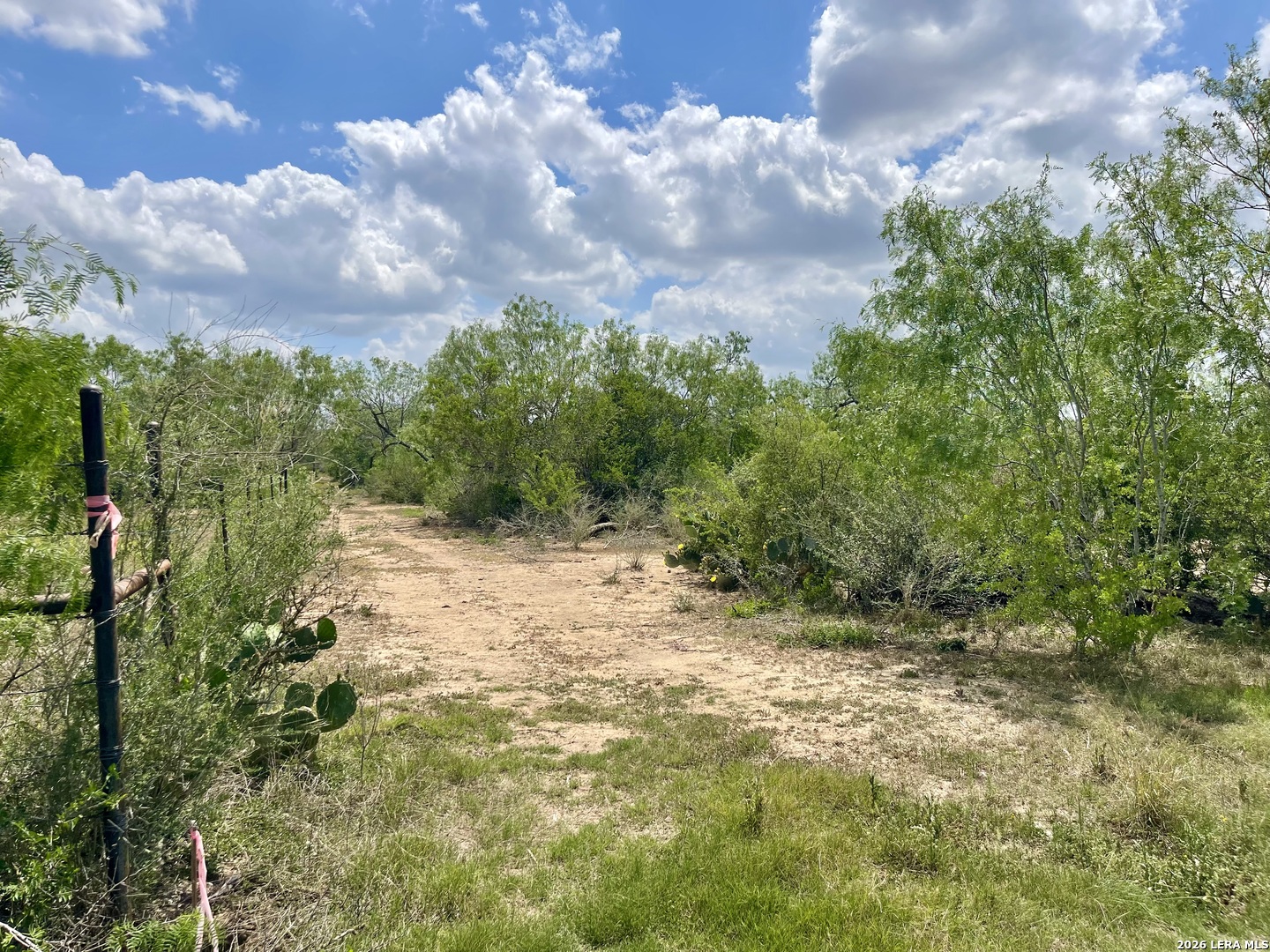 2566 FM 539, ,  78121 — photo 1