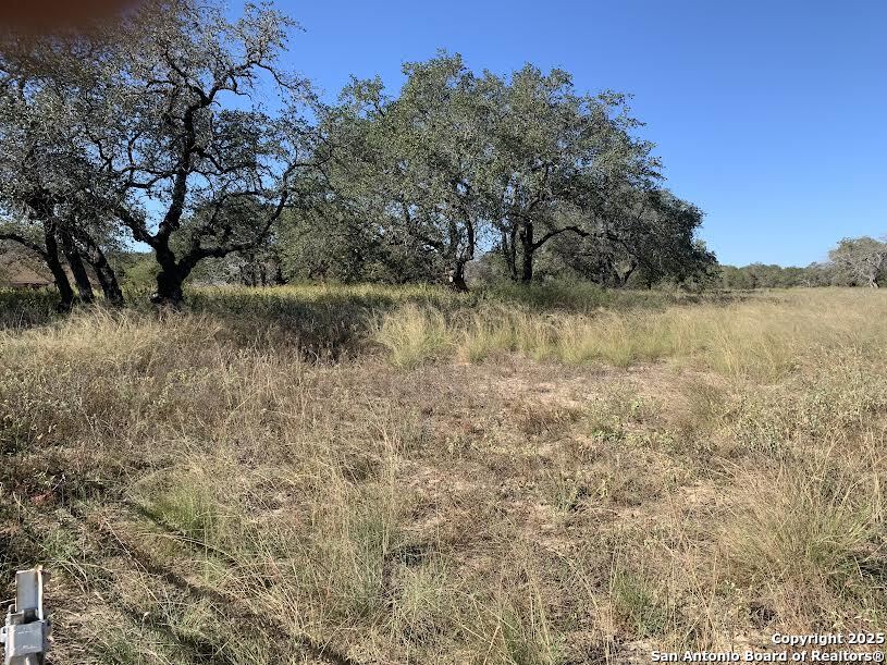 203 CR 789, , 78059 — photo 1