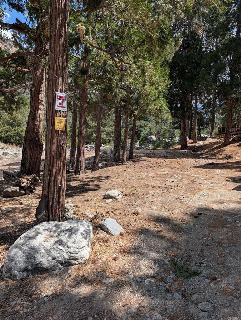 0 island dr, Forest Falls, CA 92339 — photo 1