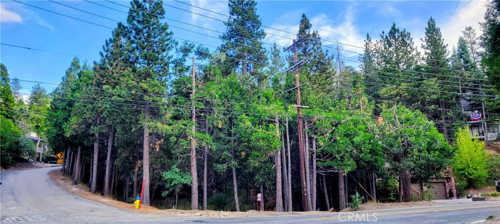 0 Grass Valley, Lake Arrowhead, CA 92352 — photo 1