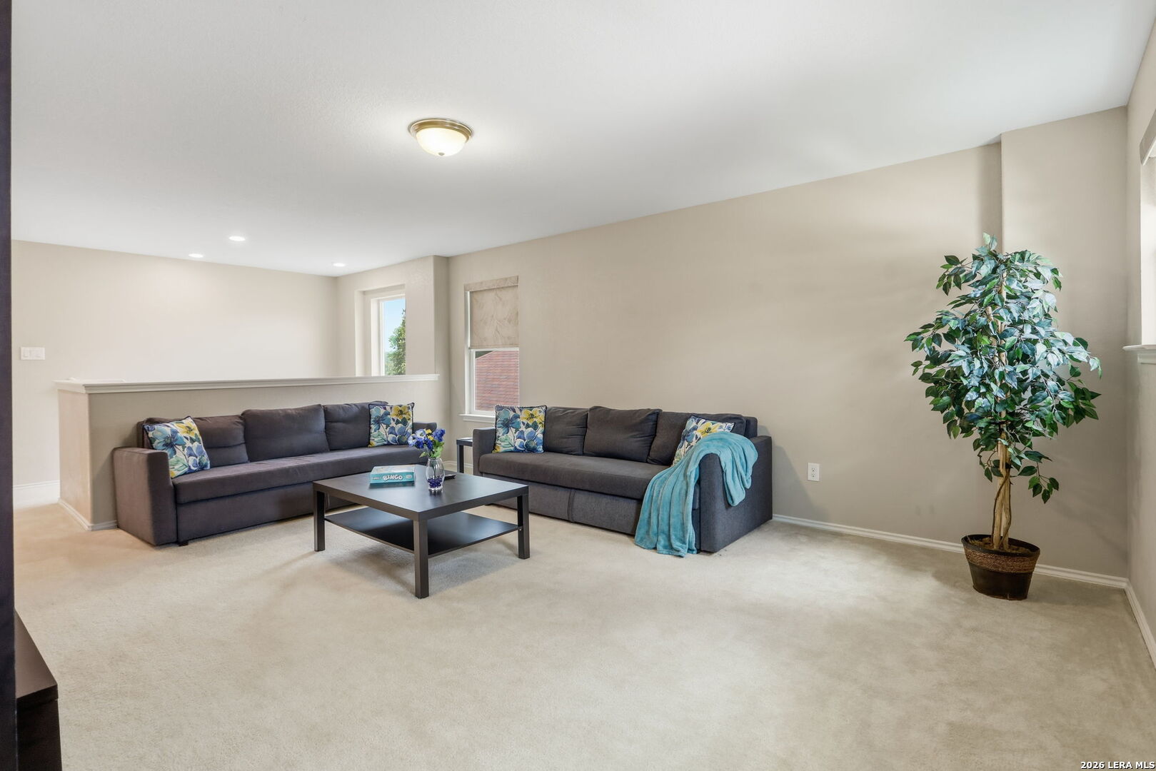 7910 EMMELINE DR, ,  78015 — photo 1