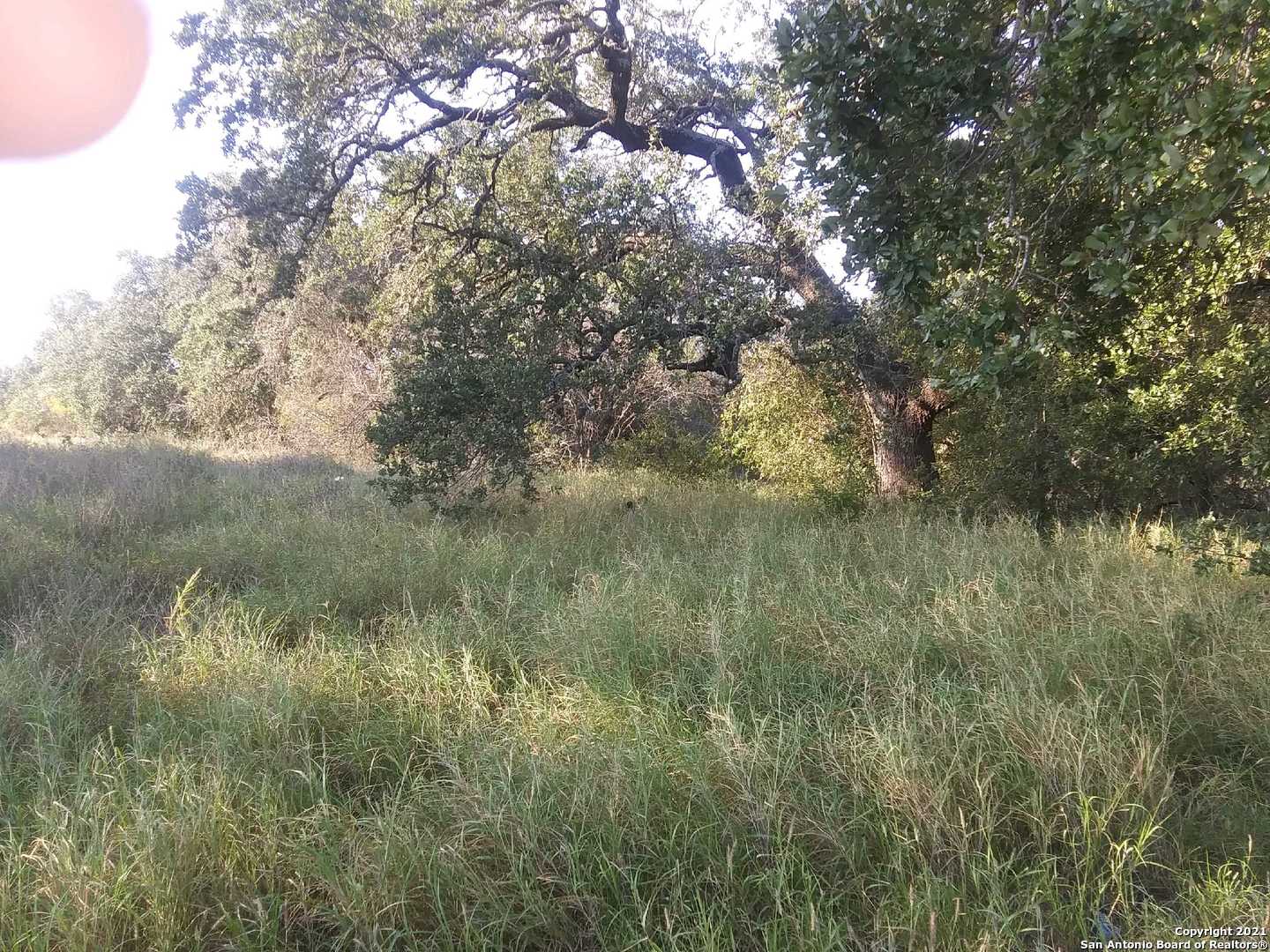 000 SH 16 & W DITTO, ,  78065 — photo 1