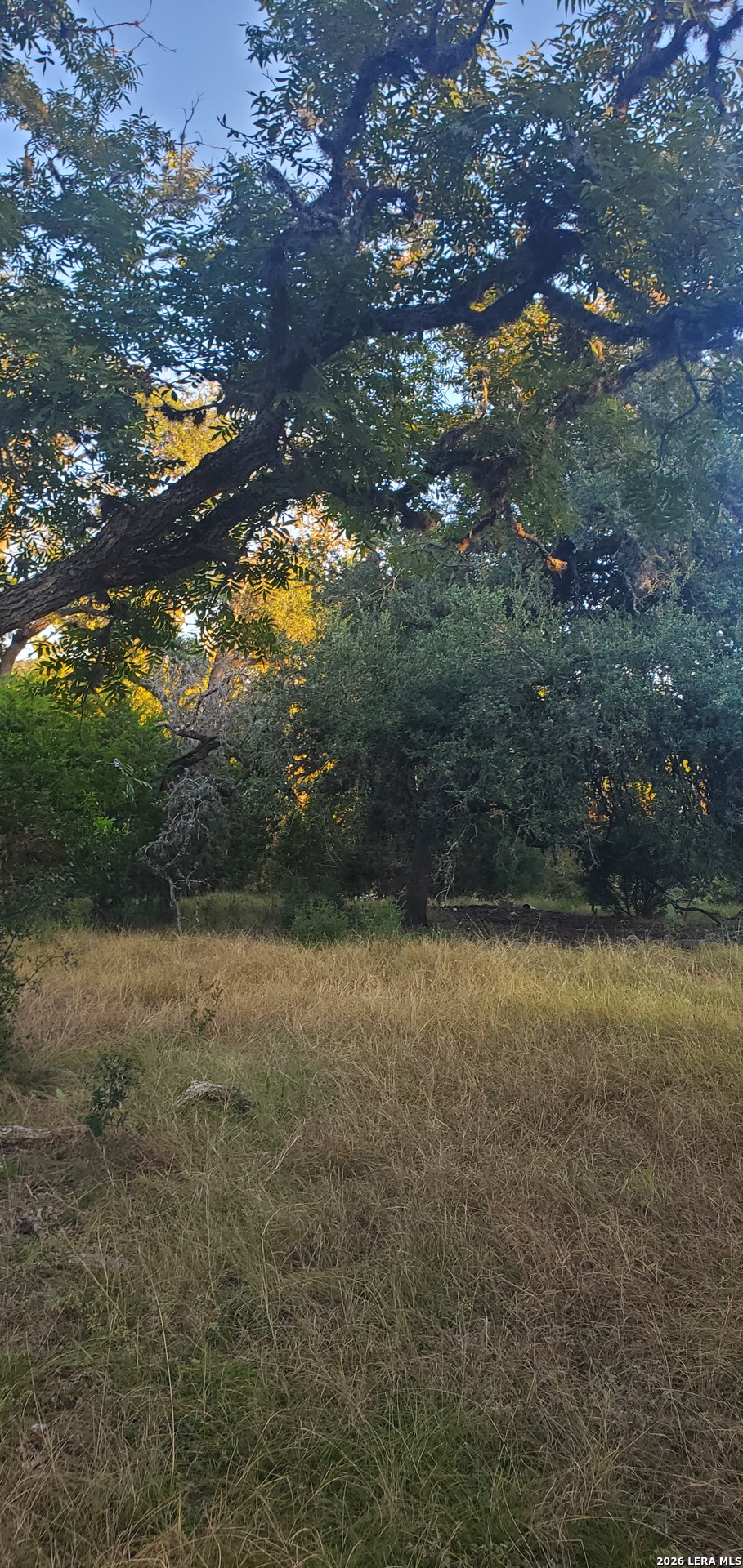 0000 Walter White Ranch RD, ,  78873 — photo 1