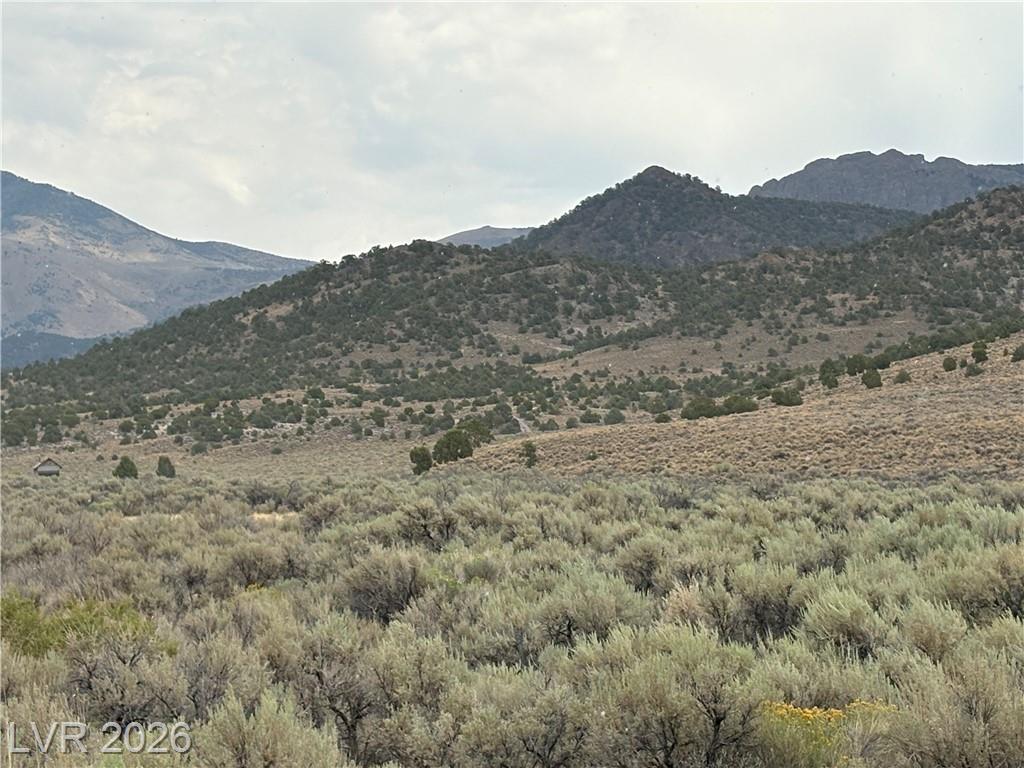 Mattier Creek, Ely, NV 89301 — photo 1