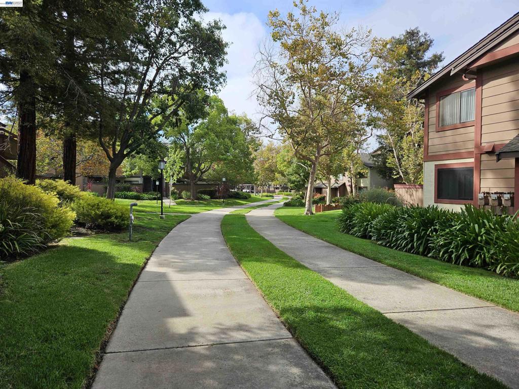 247 E Warren Cmn, Fremont, CA 94539 — photo 1