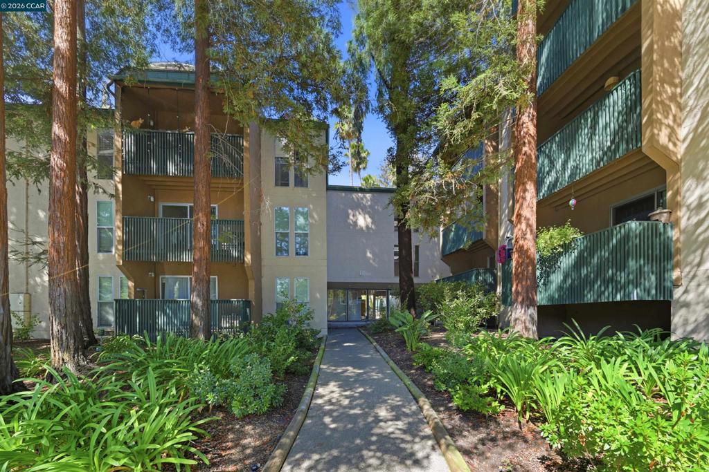 185 Sierra Dr 203, Walnut Creek, CA 94596 — photo 1