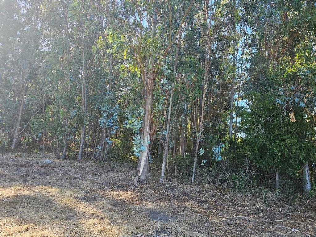 Address withheld, Half Moon Bay, CA 94019 — photo 1
