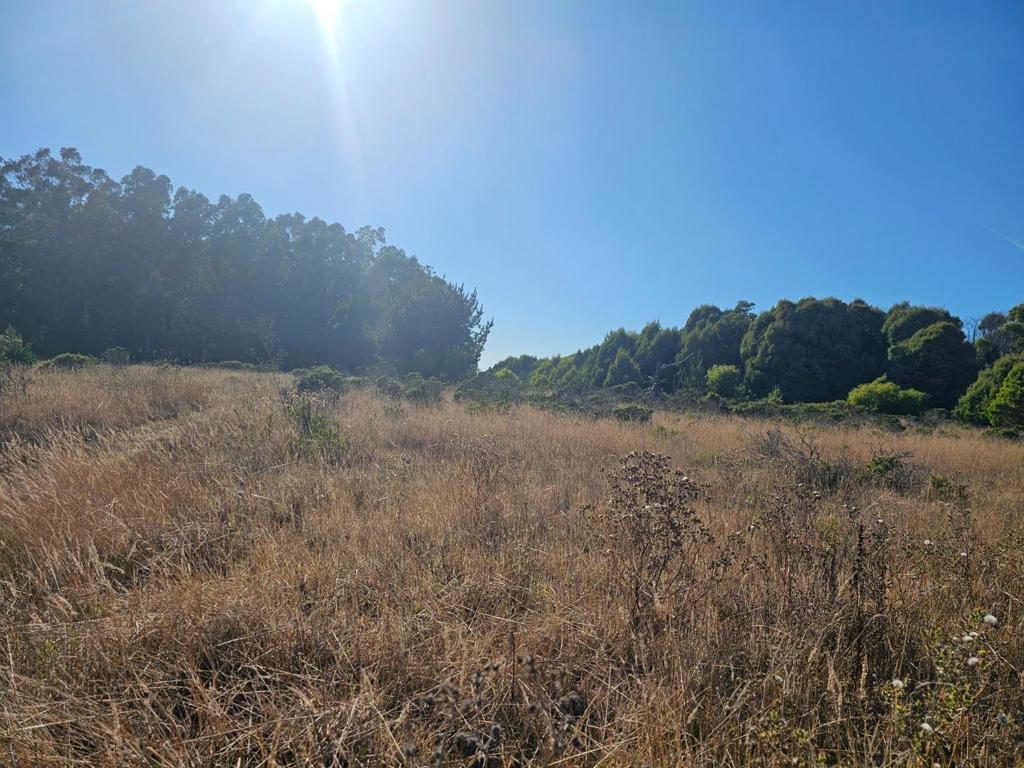 Address withheld, Half Moon Bay, CA 94019 — photo 1