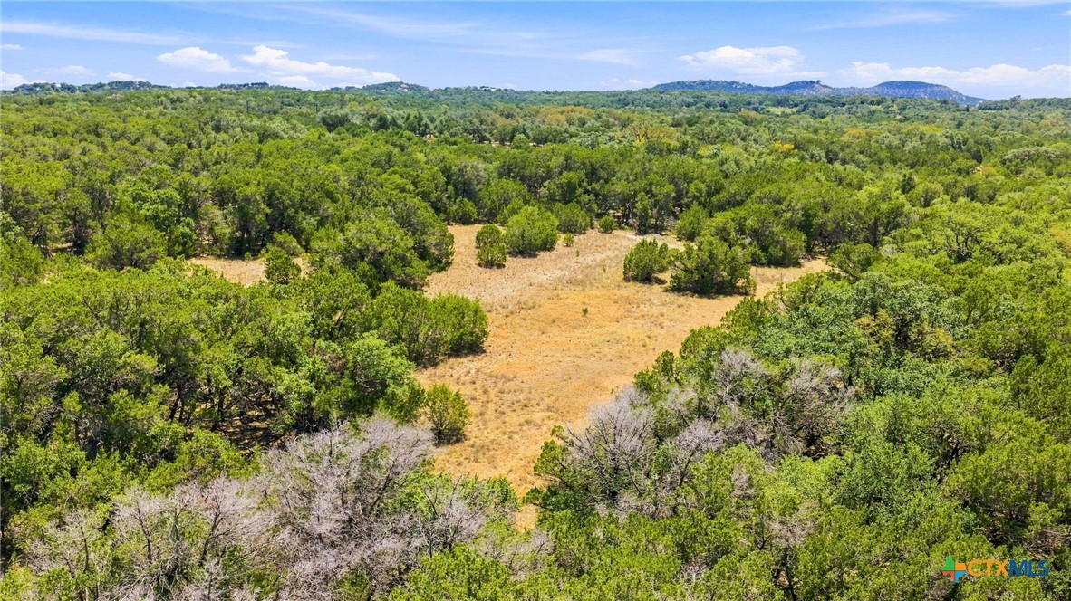 TBD LOT 2 (10.68 Ac) Lipan Run