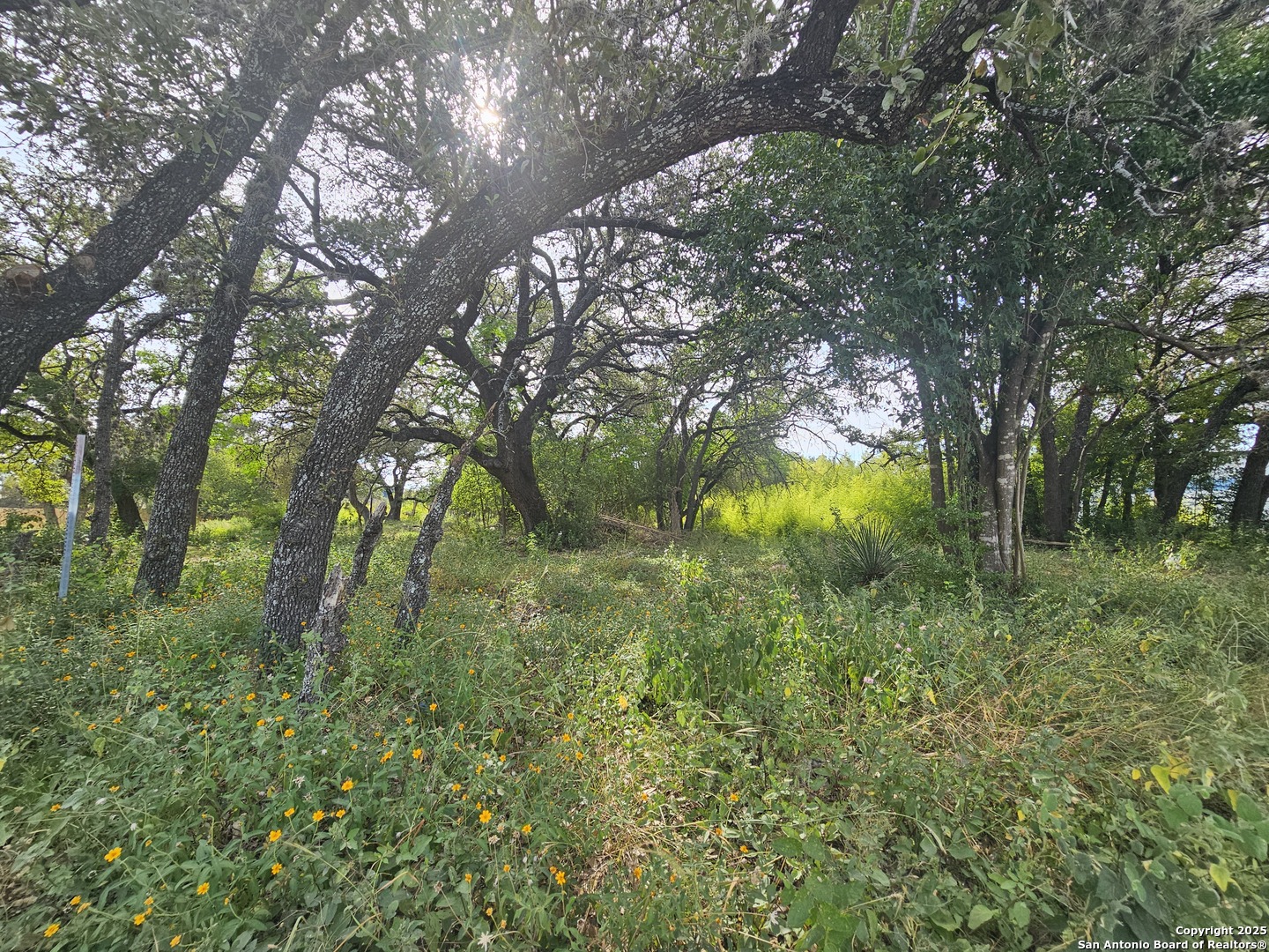 5138 Wurzbach Rd, San Antonio, TX 78238 — photo 1