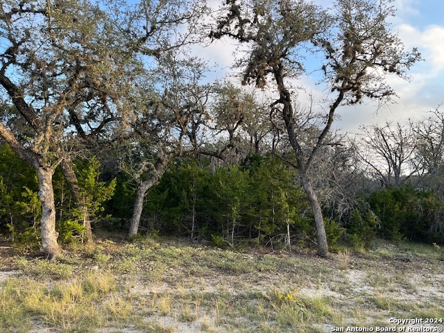 000 Leinweber Dr., Leakey, TX 78873 — photo 1