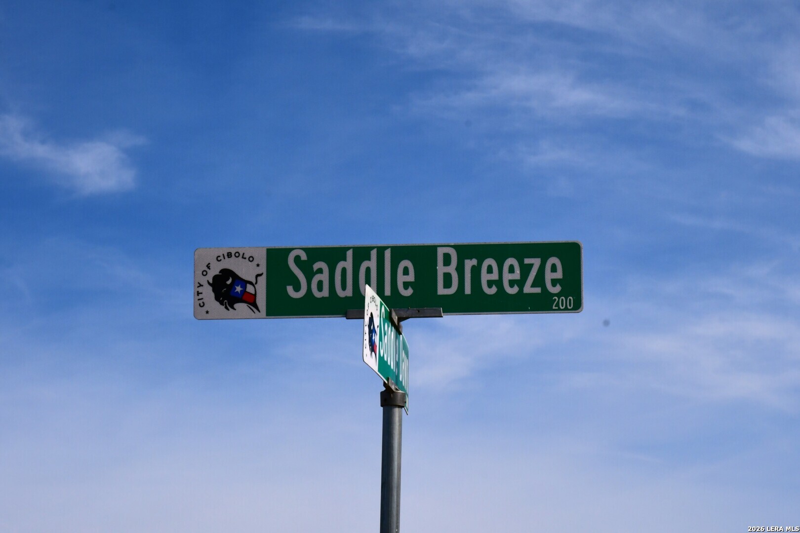 215 Saddle Breeze, ,  78108 — photo 1