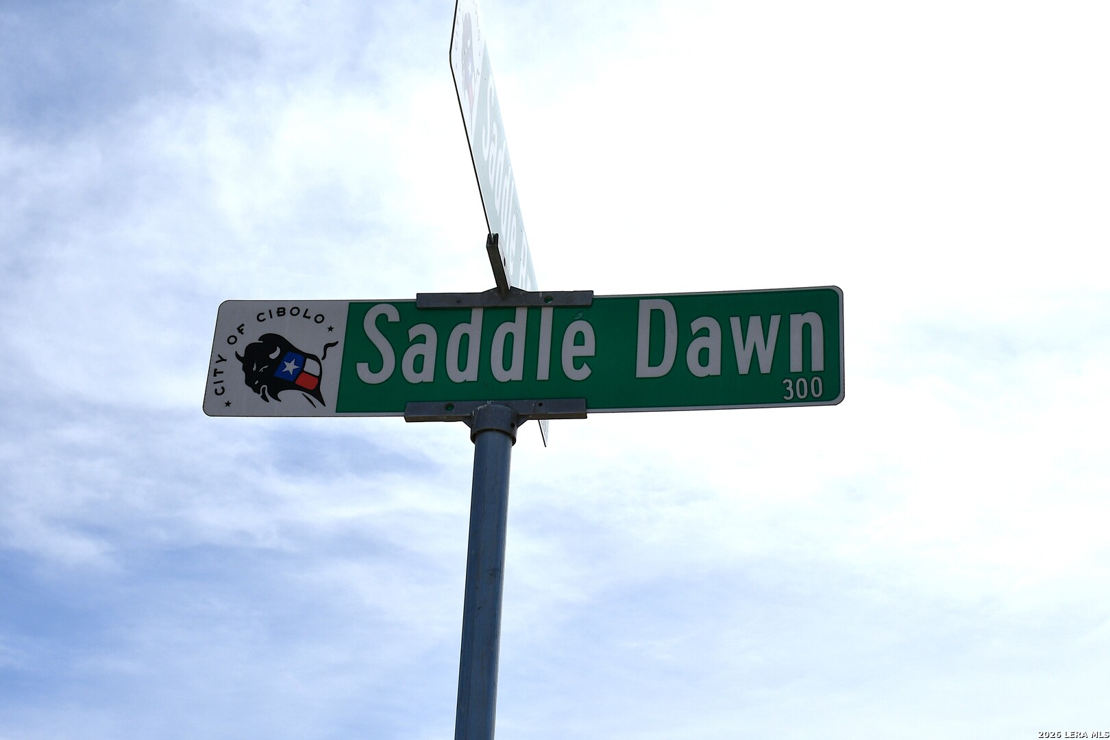 300 Saddle Dawn, , 78108 — photo 1