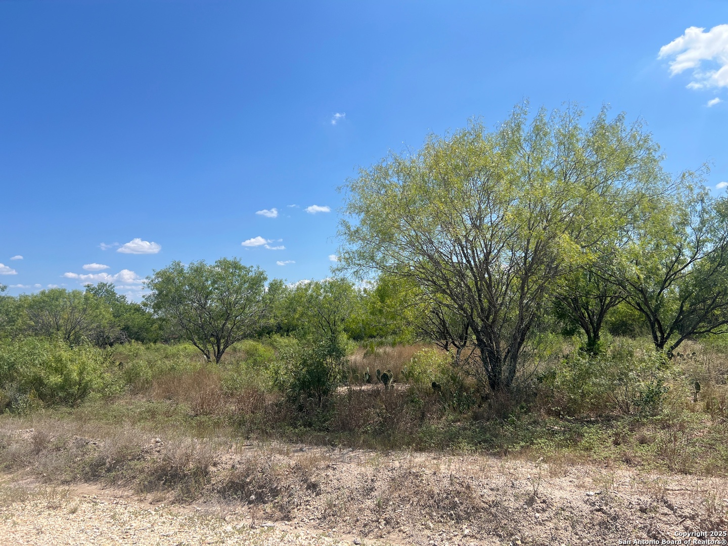 760 CR 200, Three Rivers, TX 78071 — photo 1