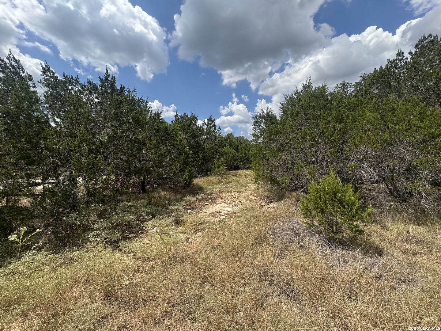 168 BRUSHY RD, , 78070 — photo 1