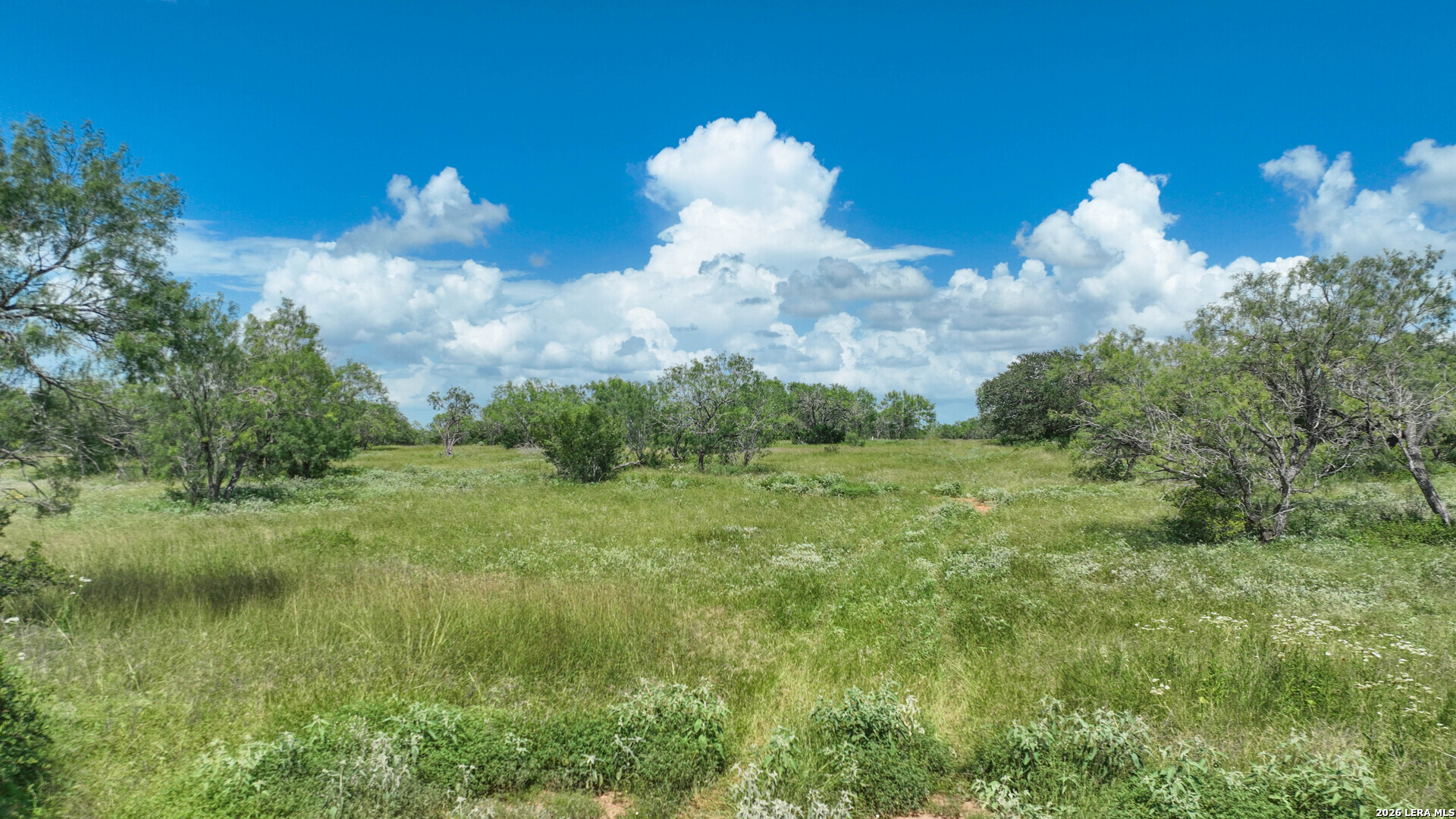 3128 CR 307, , 78026 — photo 1