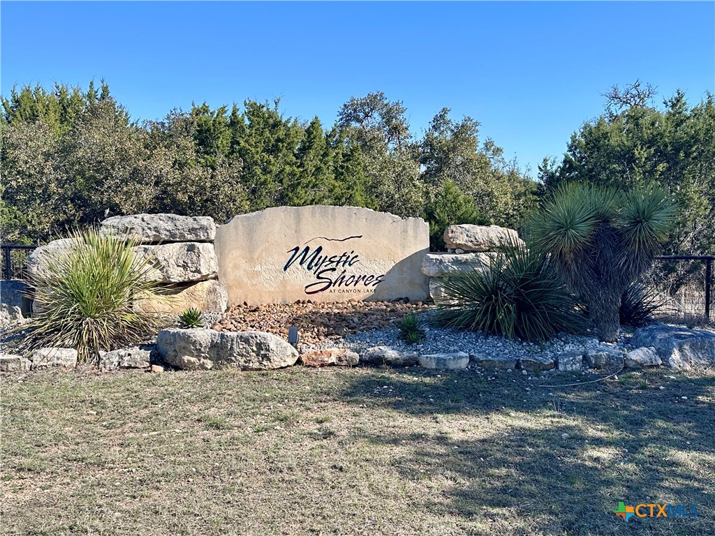198 Lily Street, Spring Branch, TX 78070 — photo 1