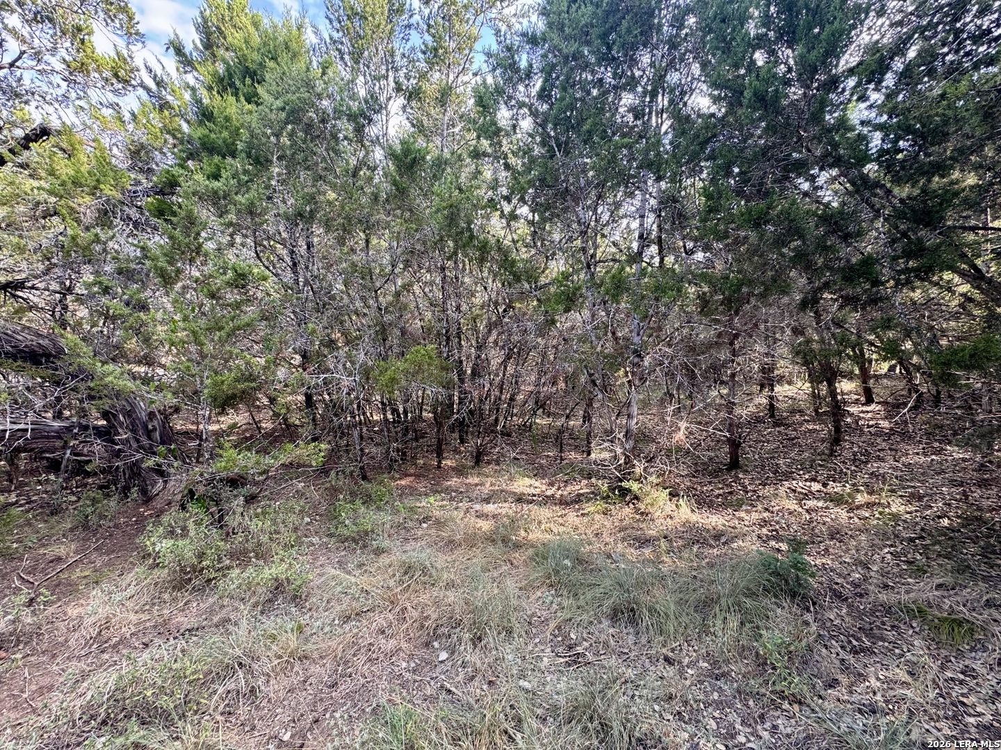 462 OVERLOOK DR, ,  78133 — photo 1