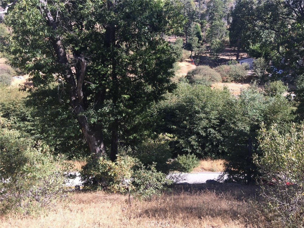 29751 Redwood