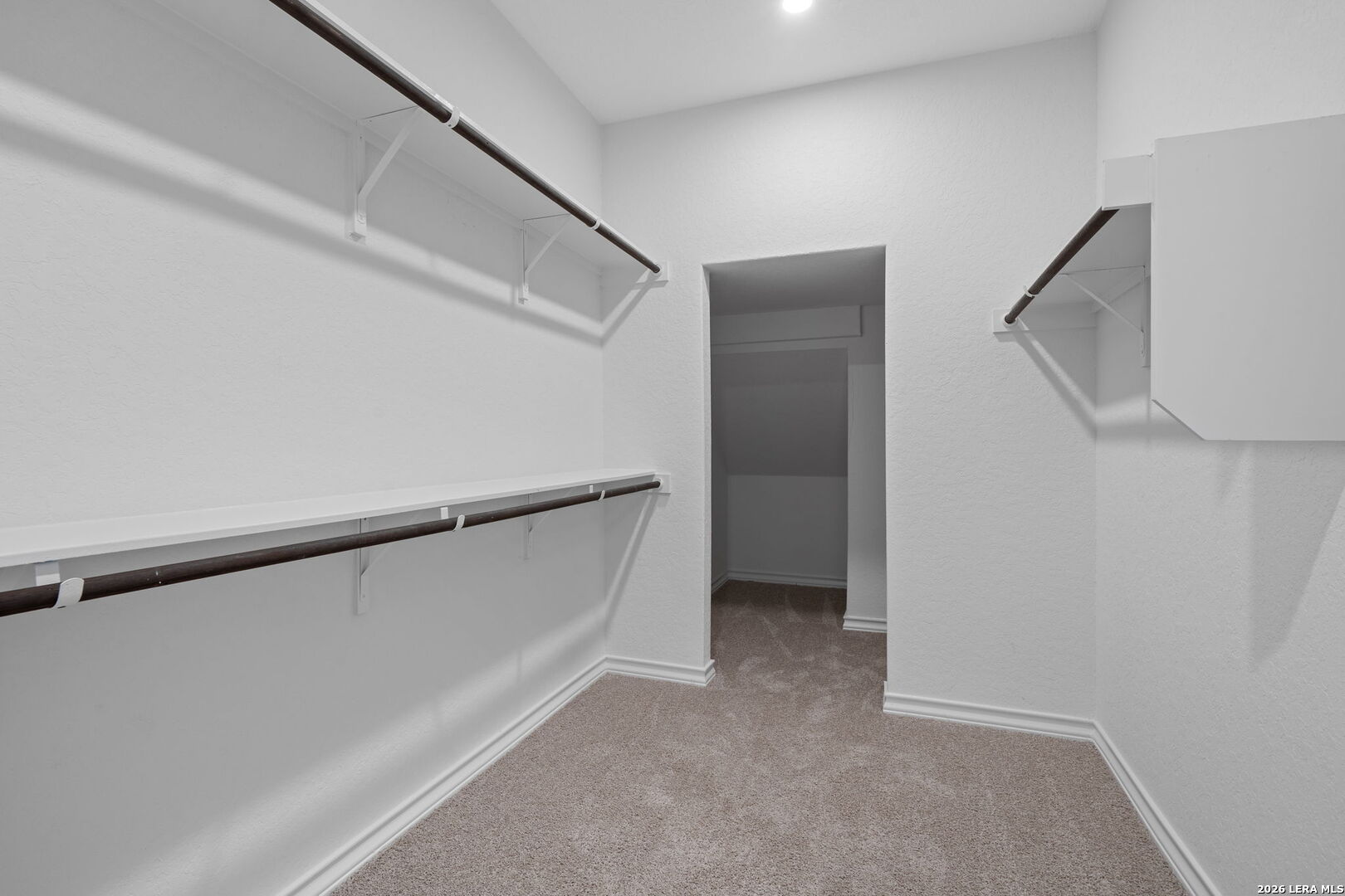 423 Salamander, , 78666 — photo 1
